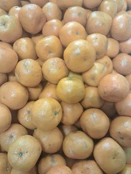 Fresh Orange Stock Photos