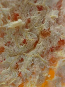 Fresh Orange Pulp Texture Background - Macro Juicy Citrus Fiber Stock Photos