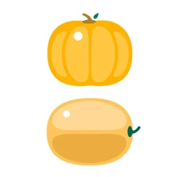 Fresh orange pumpkin isolated vector illustration Stock Illustration
