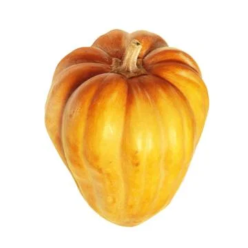 Fresh orange pumpkin Stock Photos