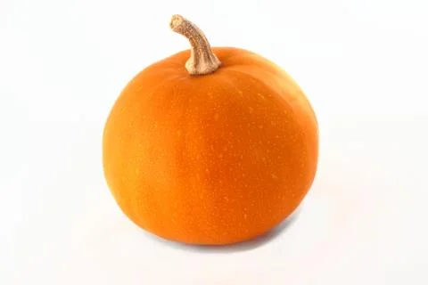 Fresh orange pumpkin Stock Photos