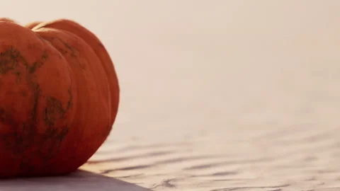 Fresh Orange Pumpkin Resting on a Light Surface During Autumn Daylight Stock Footage 348397342