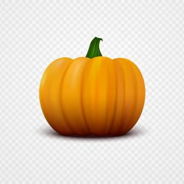 Fresh orange pumpkin. Vector illustration Stock Illustration