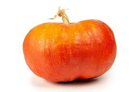 Fresh orange pumpkin on white background Stock Photos