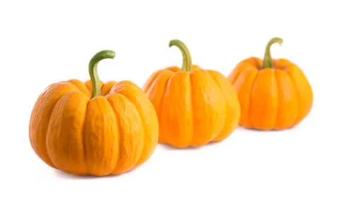 Fresh orange pumpkins Foto stock