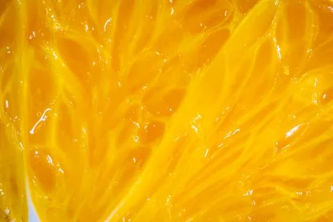 Fresh orange slice close up Illustrazione stock