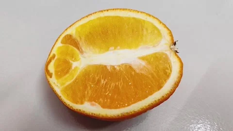 Fresh Orange Slice Close-Up Macro Stock Footage 319441235