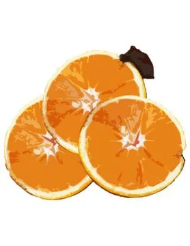 Fresh Orange Slices 3D Render Stock Illustration