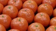 Fresh Orange, Tangerine Fruit, Mandarin Pattern, Rotates, Close Up Stock Footage