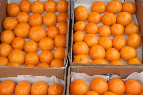 Fresh orange tomatoes in boxes Stock Photos