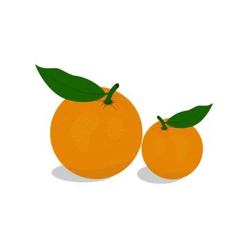 Fresh orange vector Stock Illustration