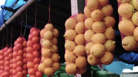 Fresh oranges and grapefruits hanging in bags displayed for sale Stock Footage 92523982