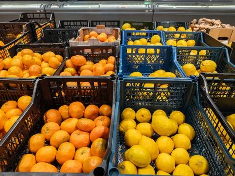 Fresh oranges and lemons displayed in plastic crates at a grocery store, hi.. Stock Photos