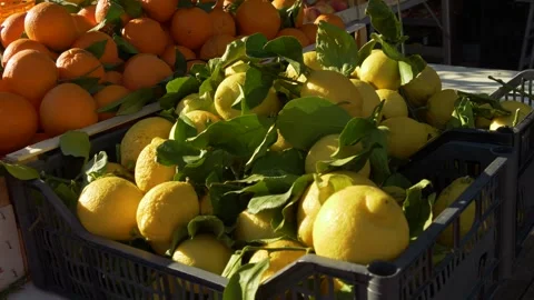 Fresh oranges and lemons at Mediterranean market stall Stock Footage 334656341