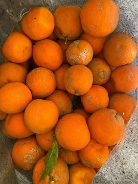 Fresh oranges in a bag Stock Photos