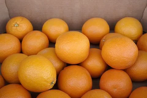 Fresh oranges in a box Stock Photos
