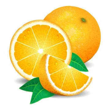 Fresh oranges fruit, pieces of orange. Realistic oranges, vector illustration Stock Illustration