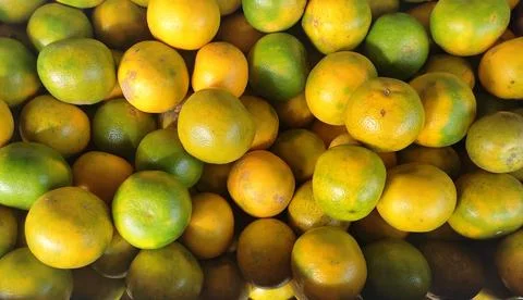 Fresh oranges in the fruit shop Stock Photos