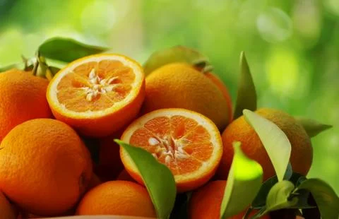 Fresh oranges on a green background Stock Photos