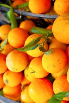 Fresh oranges Stock Photos