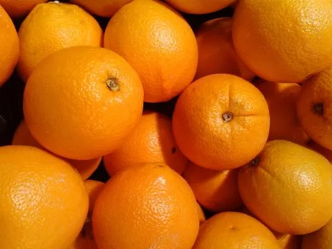Fresh oranges Stock Photos