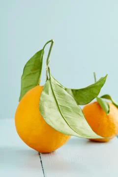 Fresh oranges Stock Photos