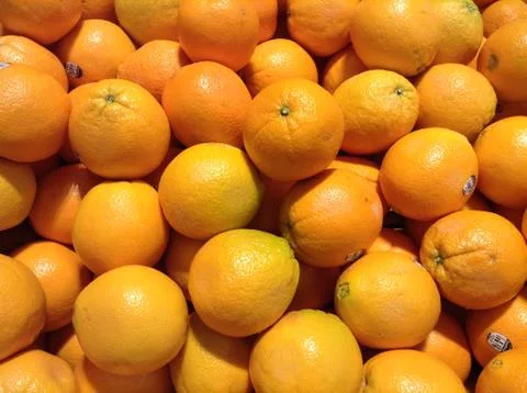 Fresh Oranges Stock-Fotos