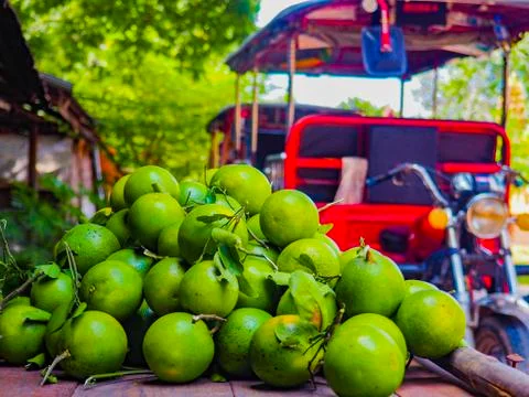Fresh oranges Stock Photos