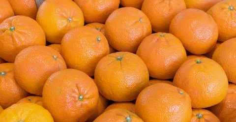 Fresh oranges Stock Photos
