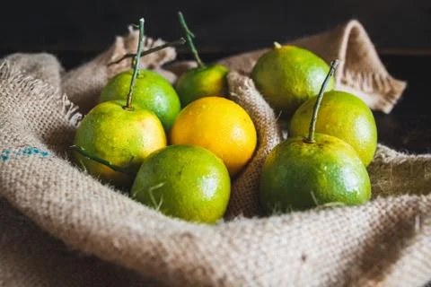 Fresh oranges Foto stock