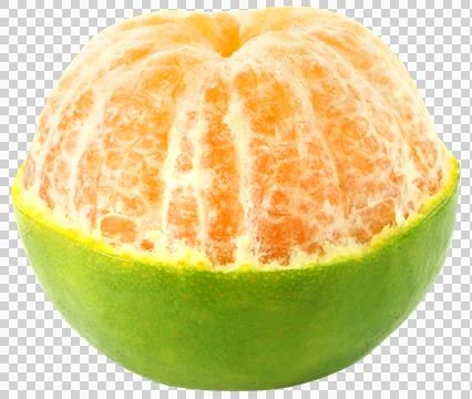 Fresh oranges Stock Photos