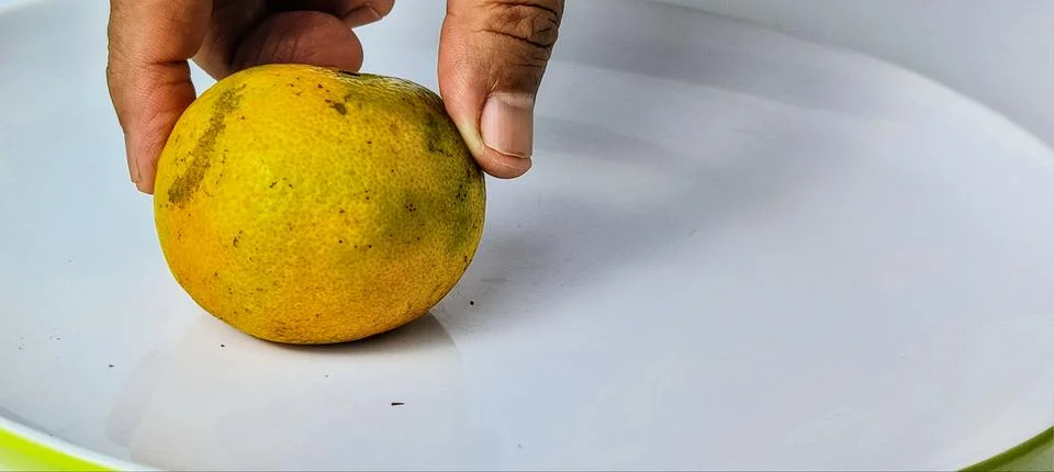 Fresh oranges Foto stock