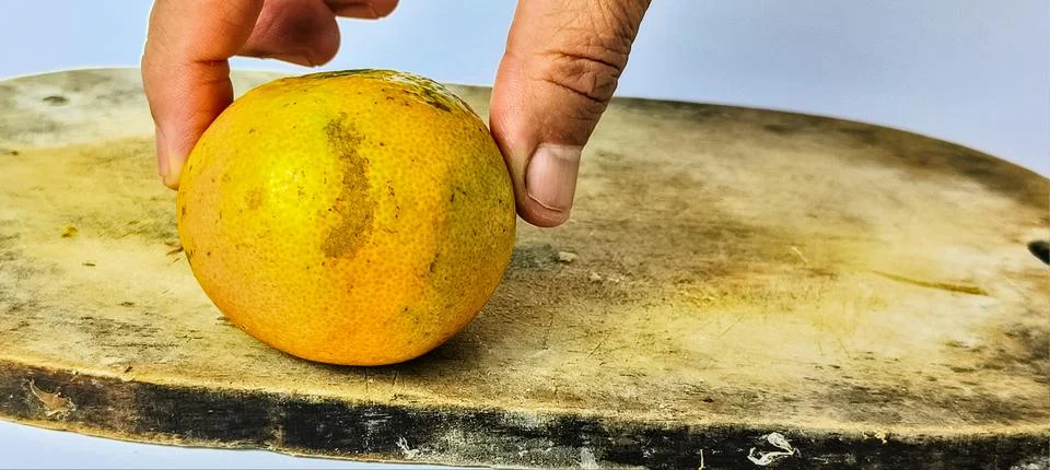 Fresh oranges Stock Photos