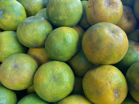 Fresh oranges on the rack table Stock Photos