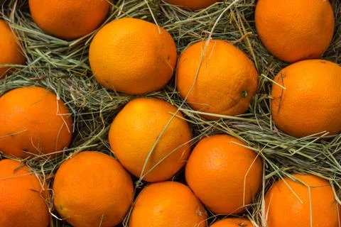Fresh oranges texture on hay background Stock Photos