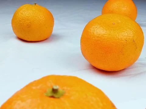 Fresh oranges on white background with copy space Stock Photos