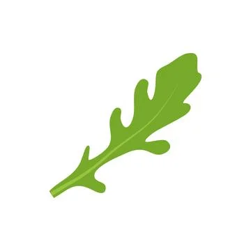 Fresh organic arugula leaf isolated, healthy food concept Stock Illustration
