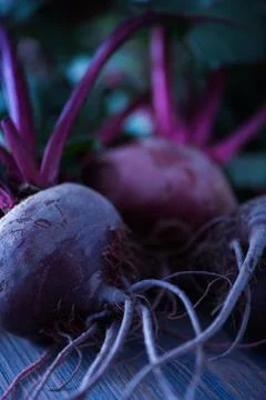 Fresh organic beet, beetroot on grey rustic wooden background. Macro view Stock Photos