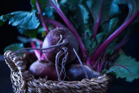 Fresh organic beets, beetroots in rustic basket. Angle view Stock Photos