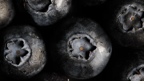 Fresh organic blueberries in extreme close up macro Stock Footage