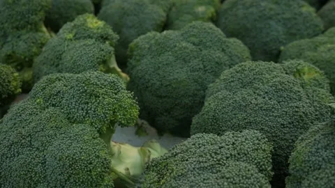 Fresh organic Broccoli on shelf. Stock Footage 308019147