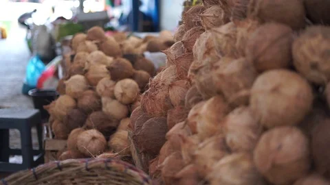 Fresh Organic Brown Coconut Stock Footage 108393839