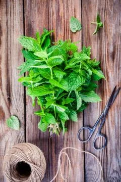 Fresh organic bundle of mint Stock Photos