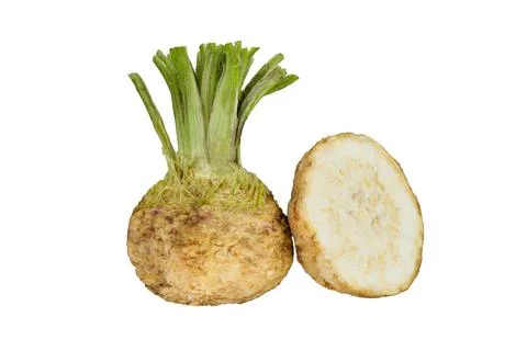 Fresh organic celeriac celery root isolated on white background Stock Photos