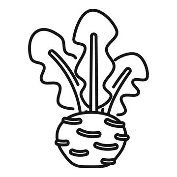 Fresh organic celery root vegetable growing line icon Stock Illustration