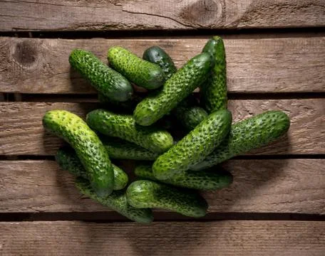 Fresh Organic Cucumbers 스톡 사진