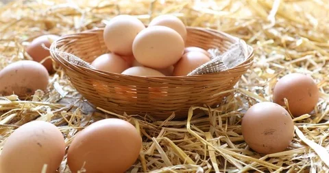 Fresh organic eggs in a basket Stock Footage 74125232