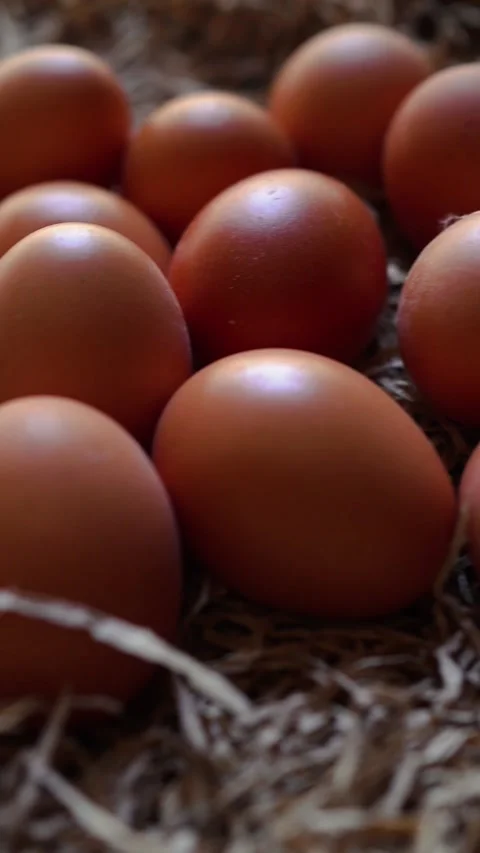 Fresh organic eggs Stock Footage 324676874