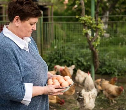 Fresh organic eggs Stock-Fotos