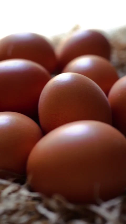 Fresh organic eggs on white background Stock Footage 324676876